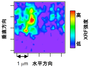 図２：X線マイクロビームによる2次元蛍光X線マッピング。