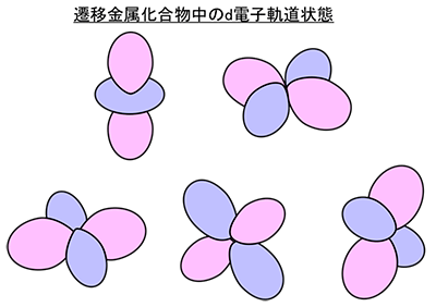 図1 遷移金属化合物中のd電子の軌道状態。