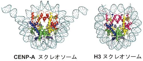 図1