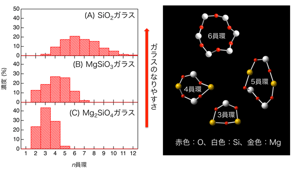 図３．ガラス中に存在する環状構造の分布