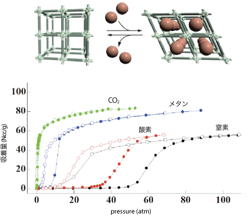 図1 柔軟性PCPによる選択的ガス吸着挙動の例