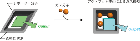 図2 柔軟性PCPとレポーター分子とが連動することによるガス検知