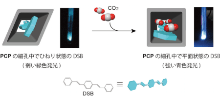 図3 CO2吸着によるホスト（PCP）－ゲスト（レポーター分子）複合体の構造変化と蛍光変化