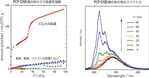 図4 PCP-DSB複合体の（左）ガス吸着挙動と（右）CO2吸着による蛍光変化