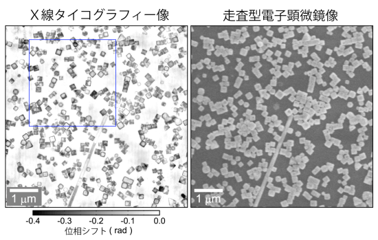図２．金/銀ナノボックス粒子のＸ線タイコグラフィー像および走査型電子顕微鏡像