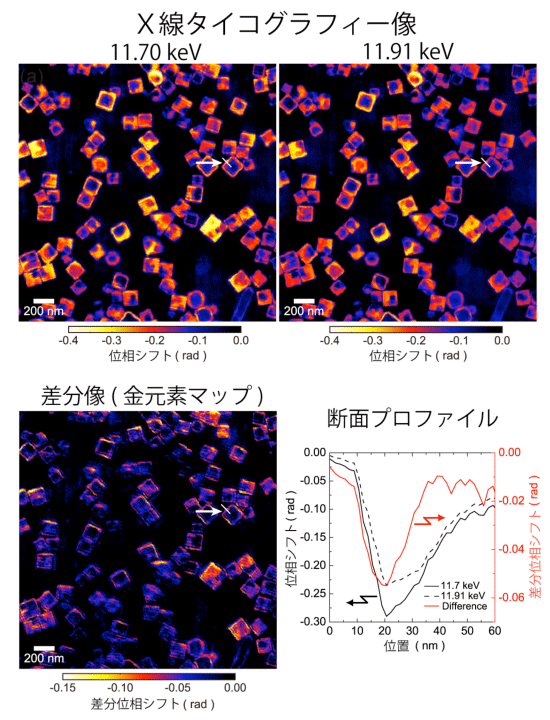 図３．Ｘ線エネルギーが11.70keVおよび11.91keVの際の金/銀ナノボックス粒子のＸ線タイコグラフィー像およびその差分像(元素識別Ｘ線タイコグラフィー像)と一つの粒子の断面プロファイル