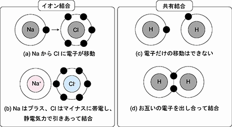 図２．イオン結合と共有結合のイメージ。