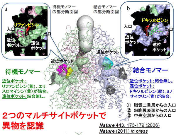 図1：