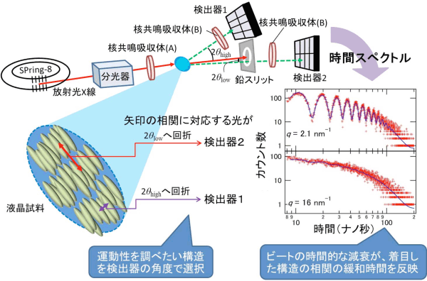 図1．時間領域干渉計法の装置図と時間スペクトル