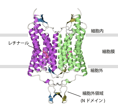 図2