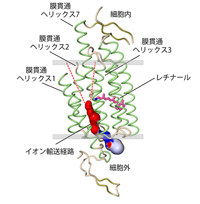 図4