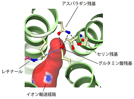 図5