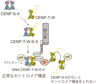 図2