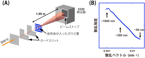 図3