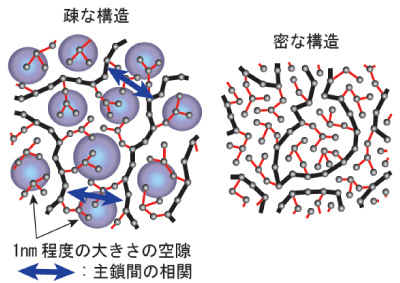 図3 高分子P4MP1の溶融体の構造の概念図