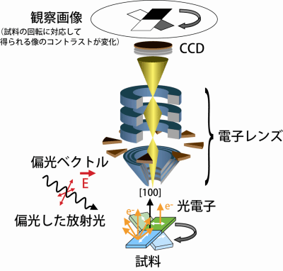 図2（a） 