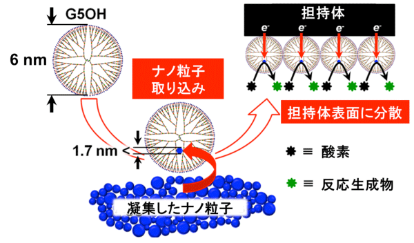 図1：デンドリマーによる金属ナノ粒子の取り込み・担持体表面への分散・燃料電池触媒反応