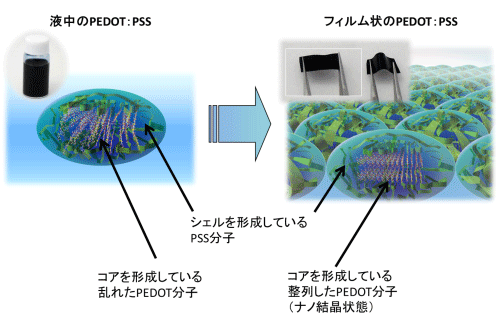 図1：分散液中のPEDOT:PSSミセル（左）とフィルム状のPEDOT:PSS（右）の構造モデル