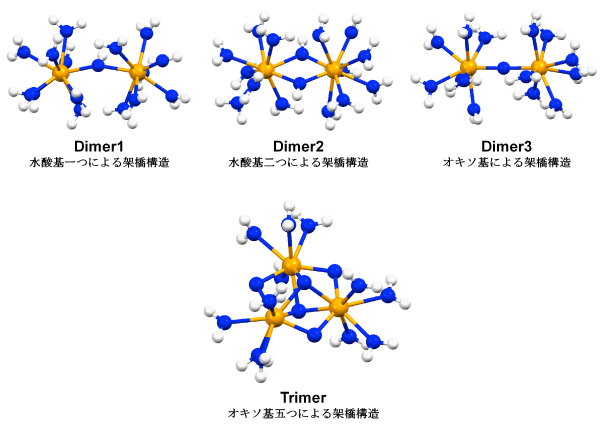 図2：密度汎関数（DFT）法により水溶液中で最適化されたCe(IV)の二核・三核錯体の化学構造。