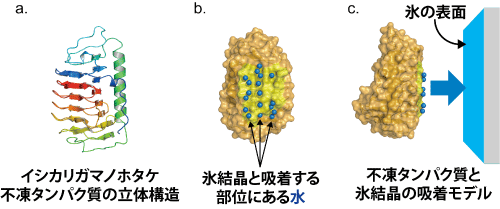 図1