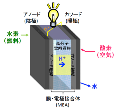 図1　水素を燃料とした燃料電池セルの模式図。