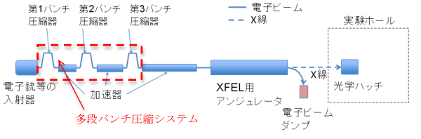 図2　X線自由電子レーザーシステムの模式図