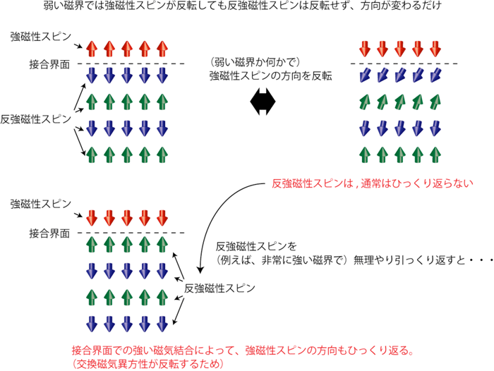 図1　強い磁界による交換磁気異方性反転の概念図。