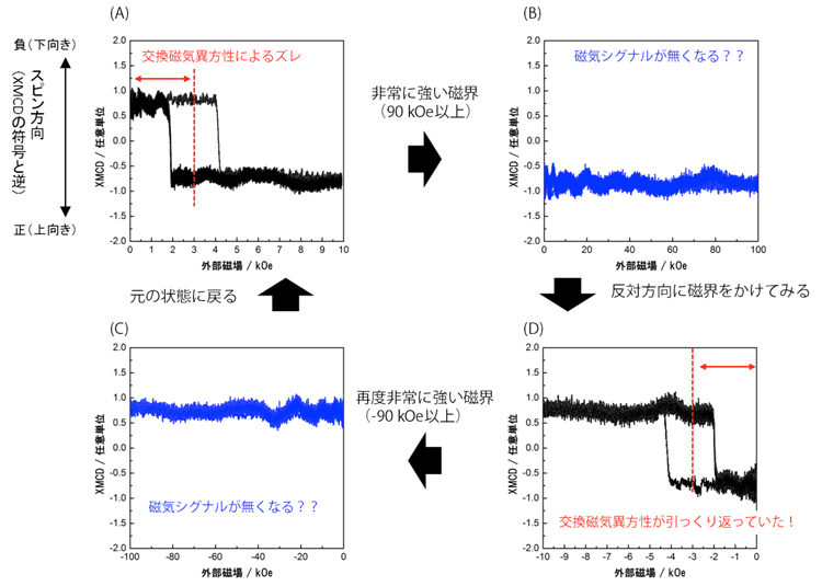 図2　強い磁界を使って交換磁気異方性の方向が変化する様子。