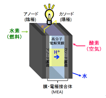 図1　水素を燃料とした燃料電池の模式図。