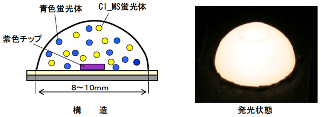 図1. 開発した白色LEDの構造と発光状態