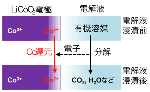 図3　電解液浸漬による電極最表面コバルト種の還元挙動