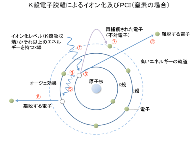 K殻電子脱離によるイオン化及びPCI（窒素の場合）