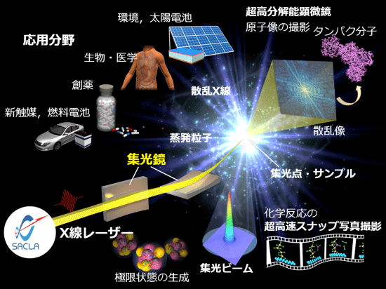 図1　超高強度X線自由電子レーザー集光ビームが拓く世界