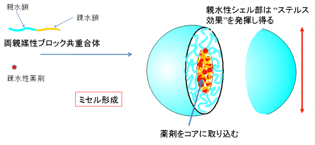 図1　高分子ミセルの概略