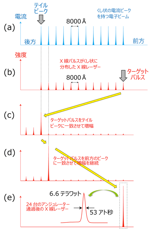 図1　今回考案したXFELパルス圧縮手法の原理説明図