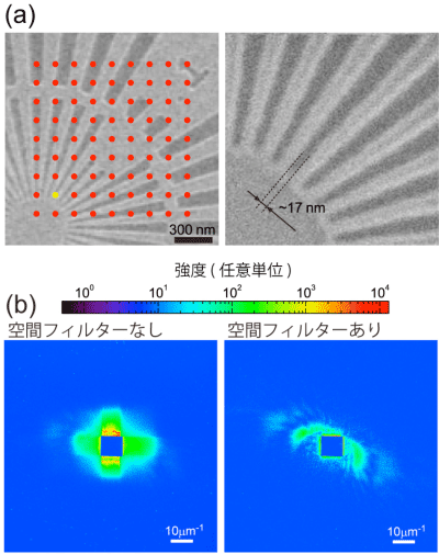 図2　（a）テストチャートの走査型電子顕微鏡像。丸い点はX線照射位置を示している。（b）（a）の黄色い丸で示した位置にX線を照射した際に観測された回折パターン。