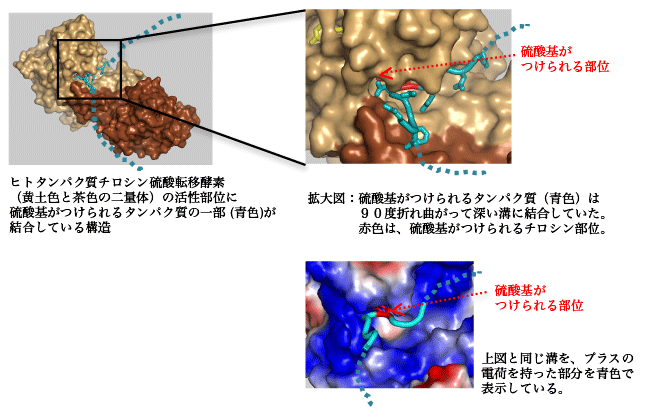 図3