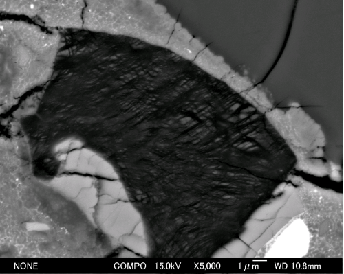 図1. ザイフェルタイトを含むシリカの電子顕微鏡写真。