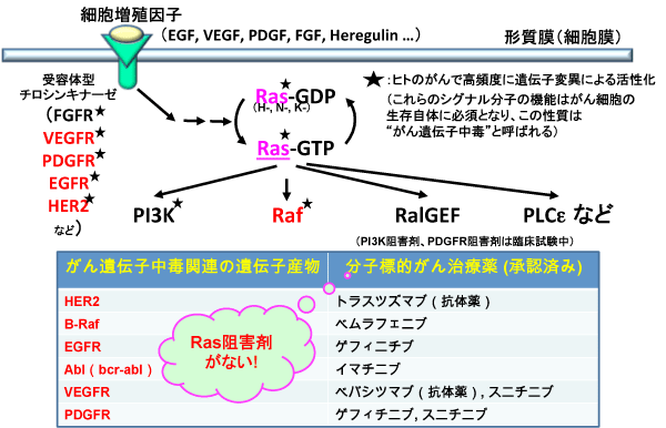 Oncolog 2014年7月号 分子標的薬の副作用は 