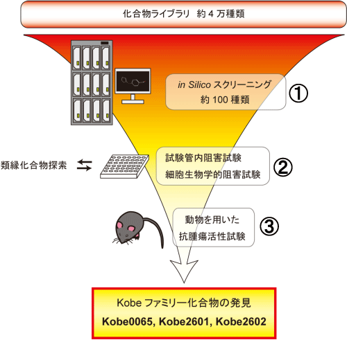 図4　Ras機能阻害物質の探索研究の流れ