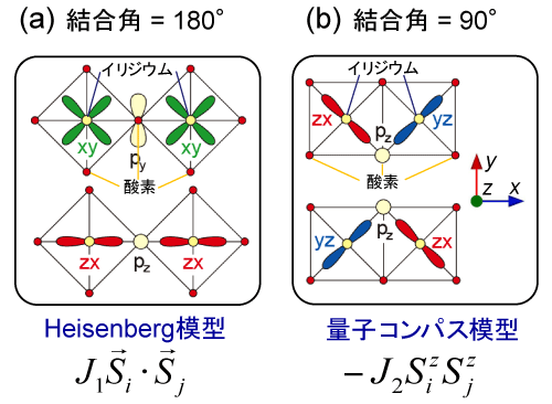 図2. 酸素を介した磁気モーメント間の相互作用。