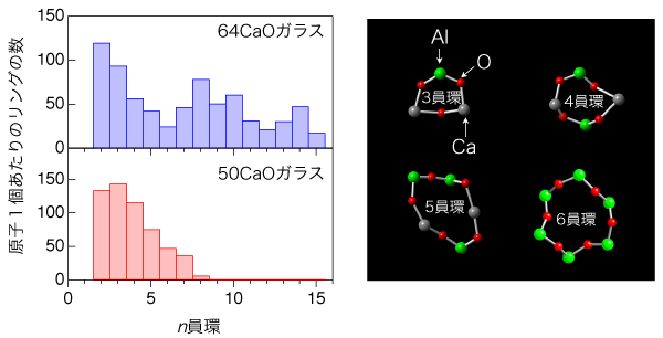 図2：ガラス中に存在するリング構造の分布