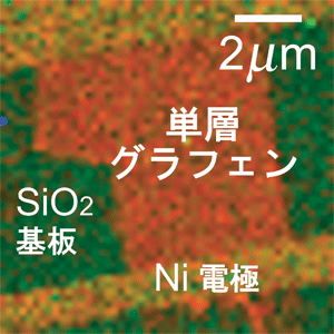 図2　グラフェンFETの元素マッピング