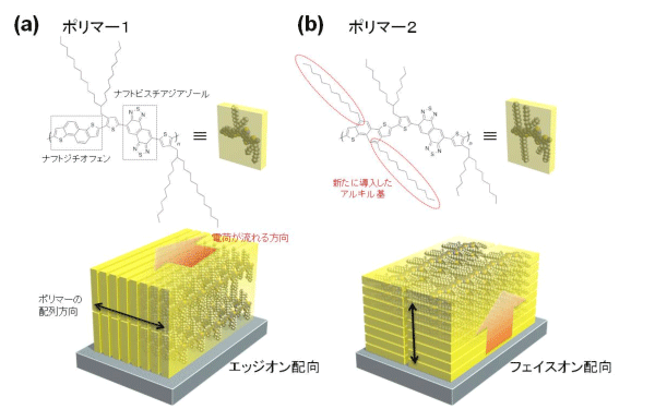 図1　ポリマー1とポリマー2の構造式（上）と薄膜中での様子（下）