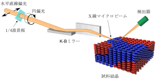 図2　今回開発した走査型X線顕微鏡