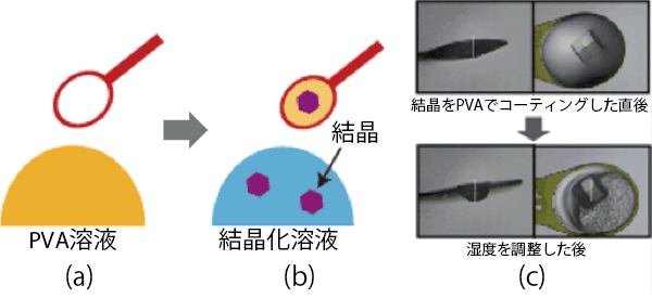 図1． α-ケトグルタレート依存非ヘム鉄酵素の触媒サイクル