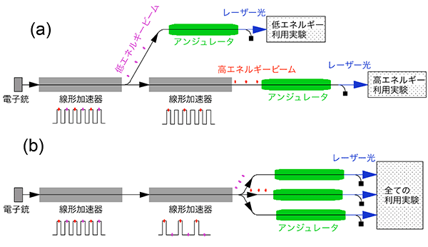 図1：XFELマルチビームラインの施設デザイン