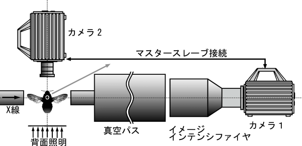 図2：実験のセットアップ。