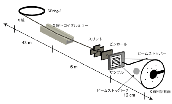 図2. 広域X線1分子追跡法の実験装置図