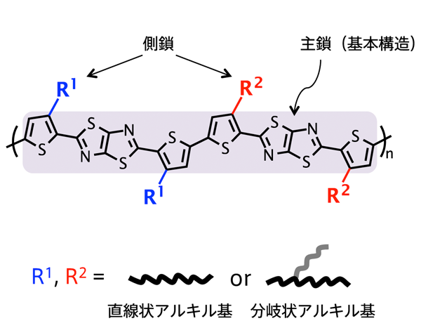 図1　本研究で用いた半導体ポリマーの構造と直線状・分岐状アルキル基の模式図